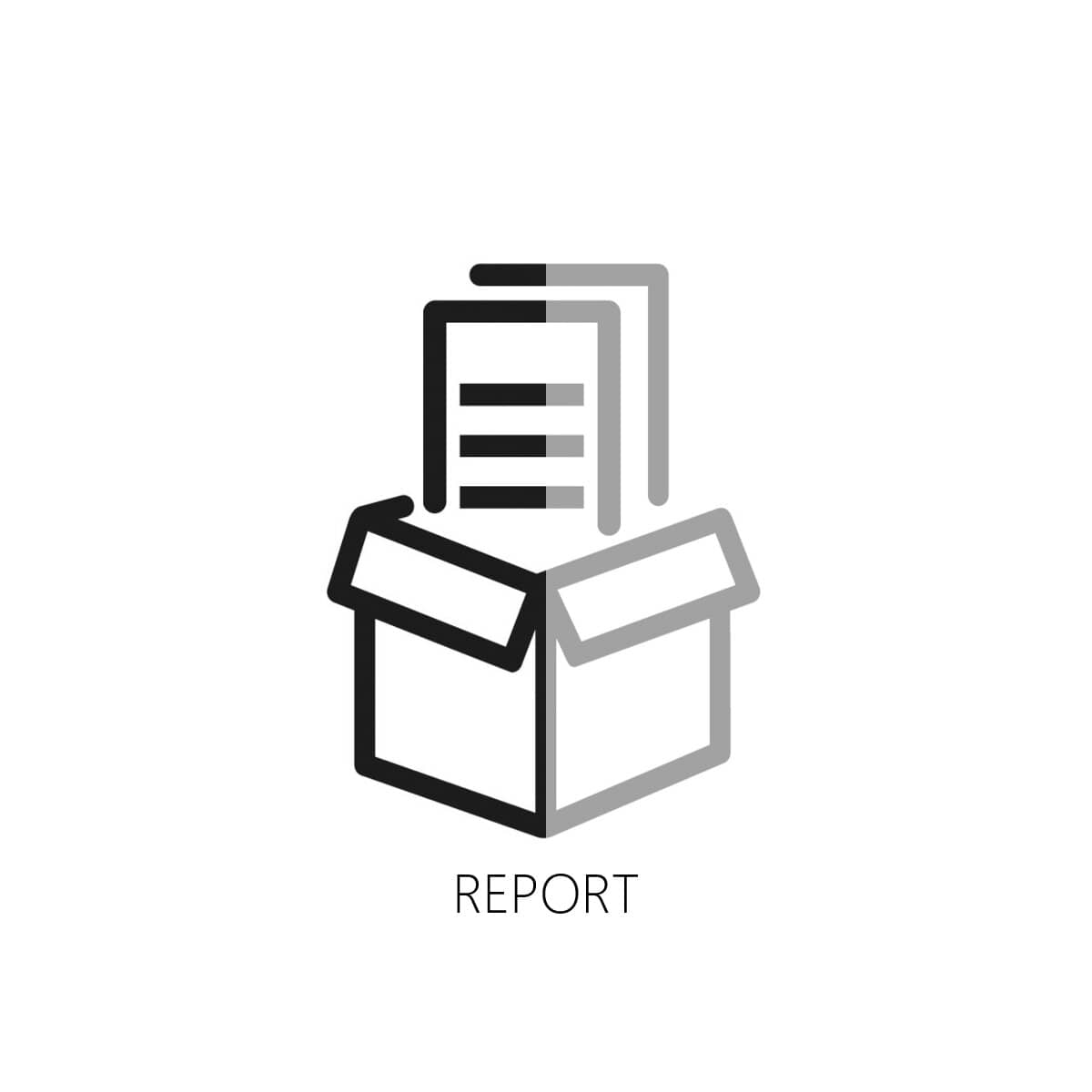 Report Documents indicating the analysis process of the fabrication company that receives the consulting services