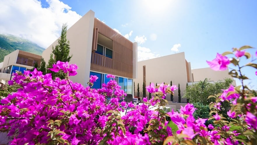 Βougainvillea in the garden by the buildings