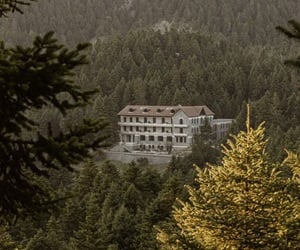 A large, multi-story building with a pitched roof and several dormer windows, located in the center of a dense forest. The structure is surrounded by tall trees on all sides, giving it an isolated appearance.