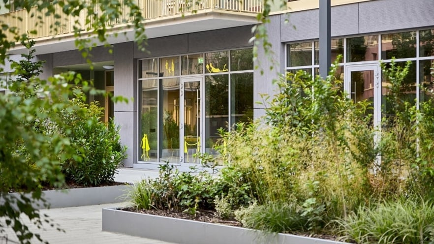Modern courtyard with paved walkways and rectangular raised plant beds filled with green shrubs, surrounded by a contemporary building façade with large windows