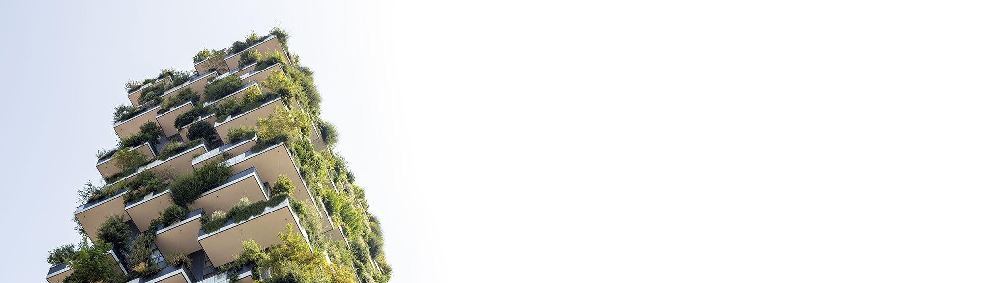 Sustainability Sustainability and responsibility