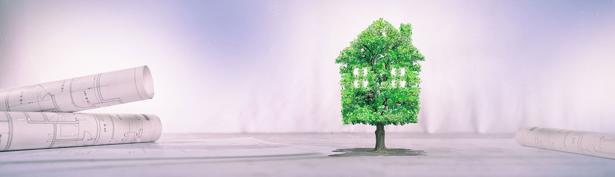 header-tree