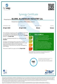 Synesgy Certificate