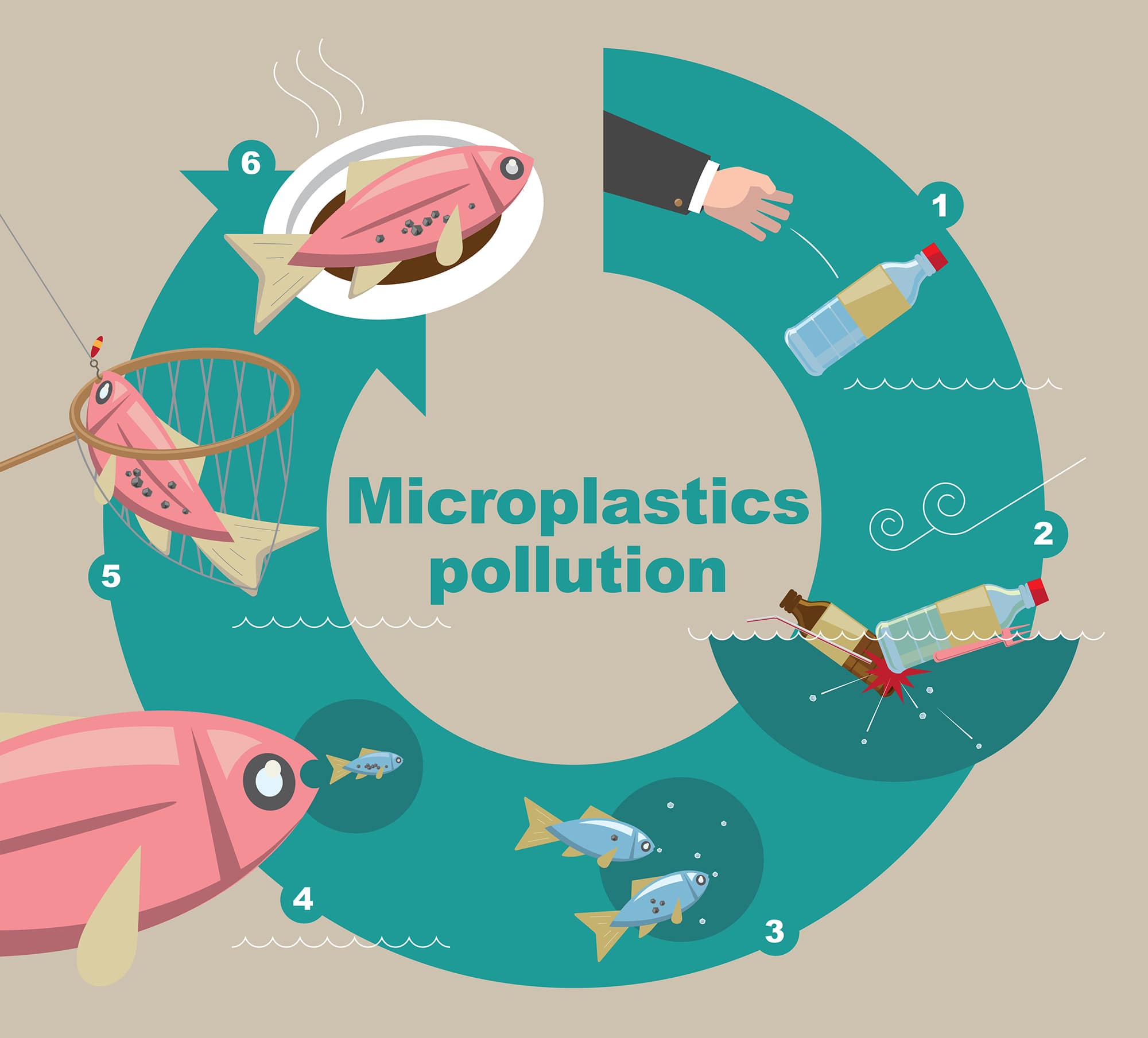 Diagram of how microplastics pollute the sea