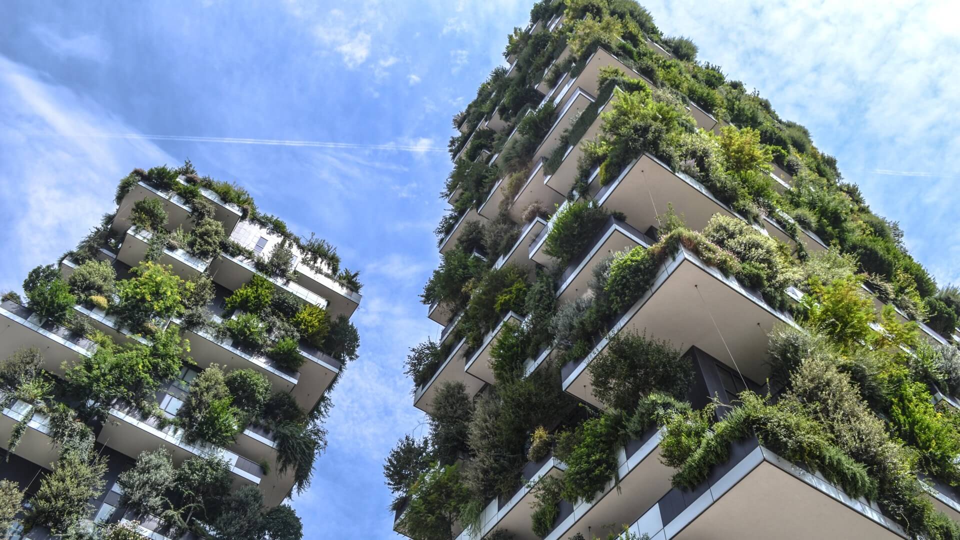 02-most-sustainable