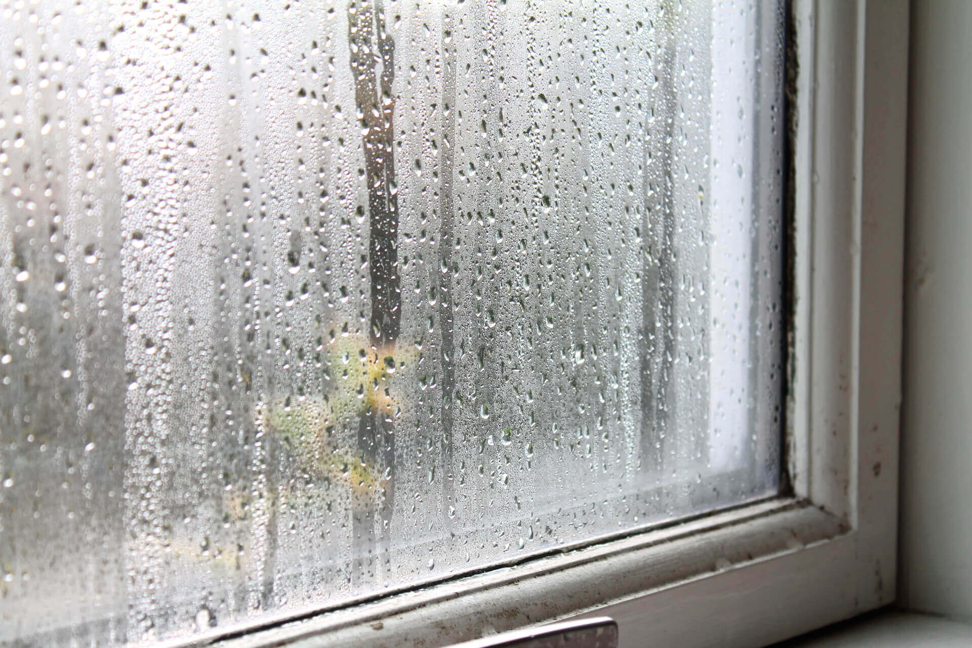 window moisture